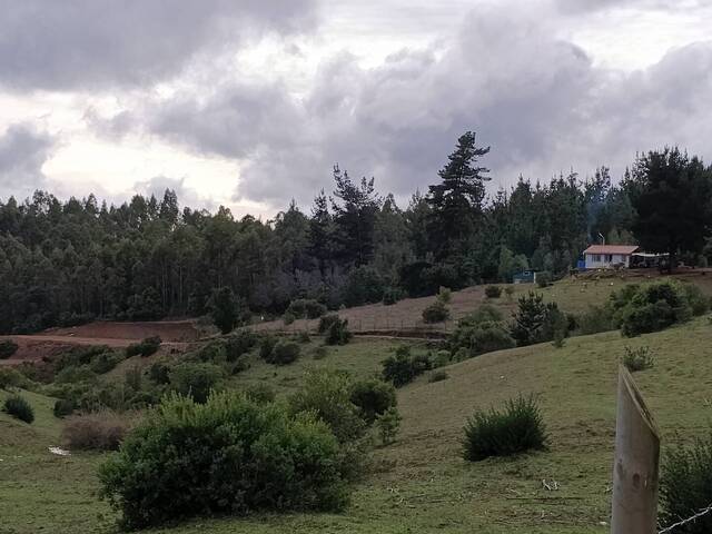 #2 - Área para Venta en Cabrero - VIII