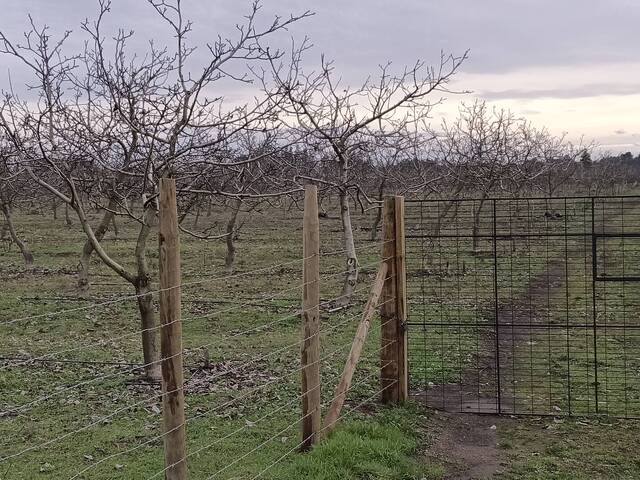 #3 - Área para Venta en Cabrero - VIII