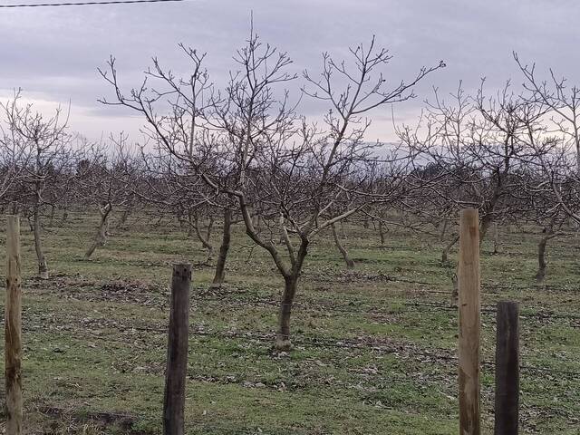 #3 - Área para Venta en Cabrero - VIII